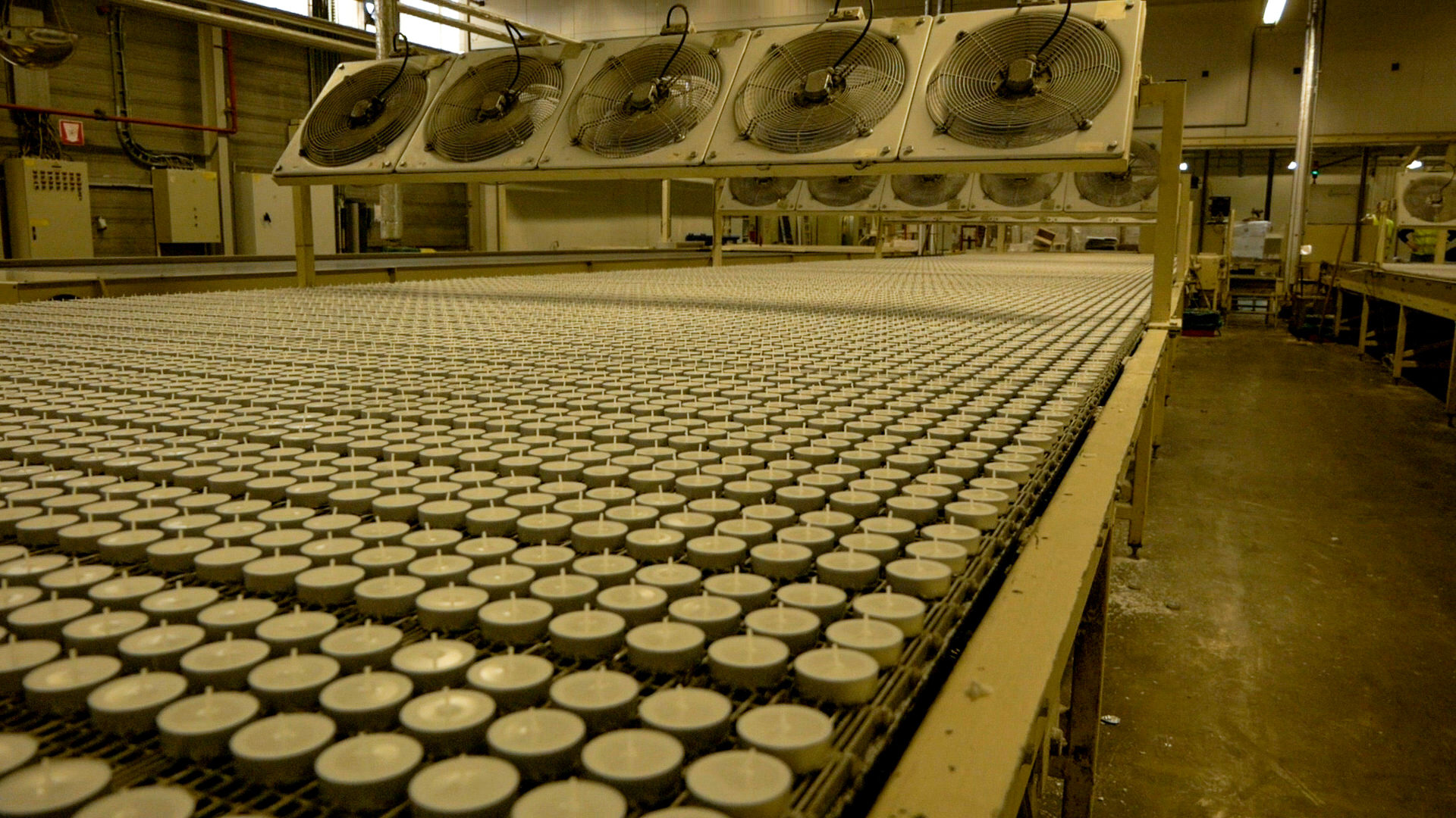 Hundreds of tealights being processed in the Spaas factory